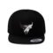 "The NEW PACKERS Edition"  Flat Bill Hat