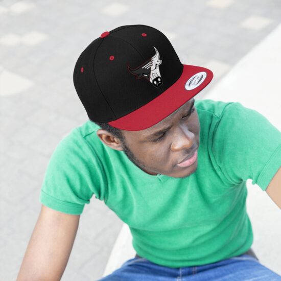 "The NEW PACKERS Edition"  Flat Bill Hat