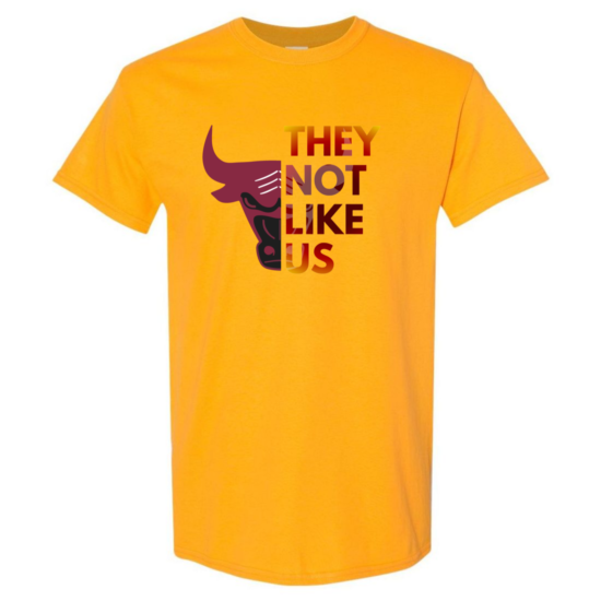 Packers -They Not Like Us tshirt